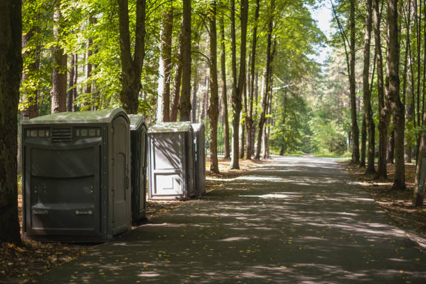 Best Wedding porta potty rental  in Mount Prospect, IL